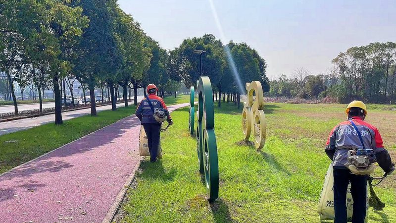 绿化病虫害防治药剂：如何选择性价比高的产品**