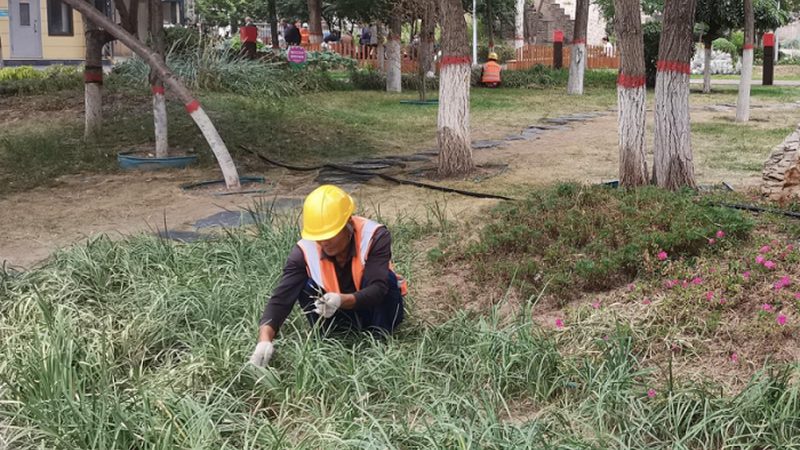 别墅花园设计公司报价单：揭秘设计与成本背后的秘密**