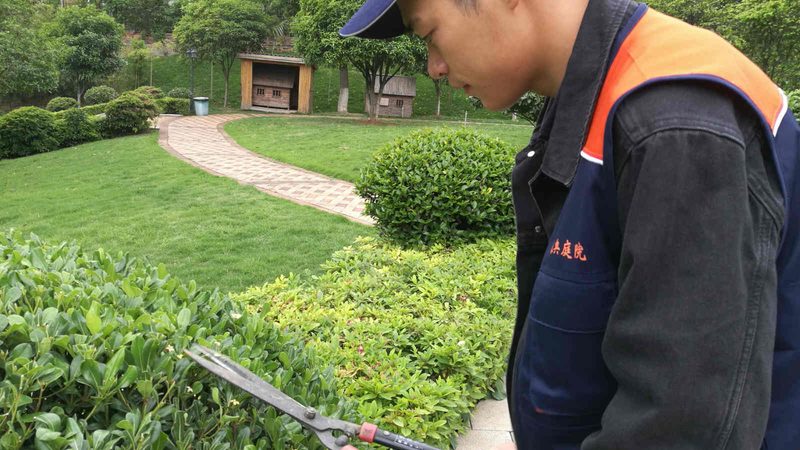公园草坪铺设，每平米预算多少才合理？**