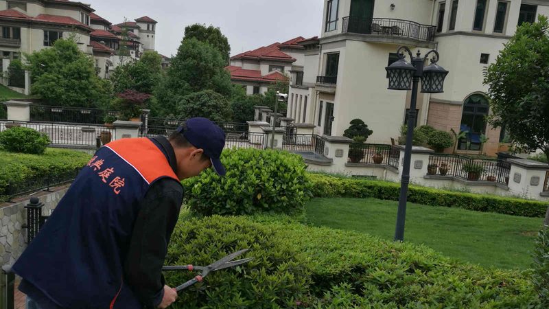 上海微型庭院设计：打造城市绿洲的秘密**