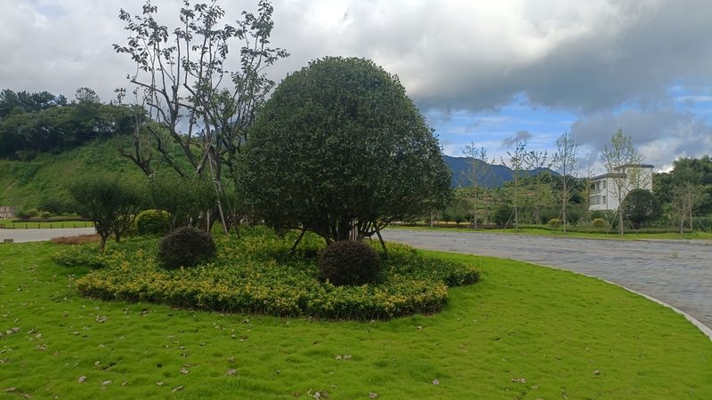 边坡喷播植草，如何制定合理价格预算表？**