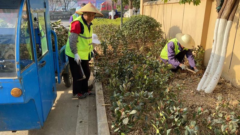 厂区绿化土建施工，如何确保一步到位？**