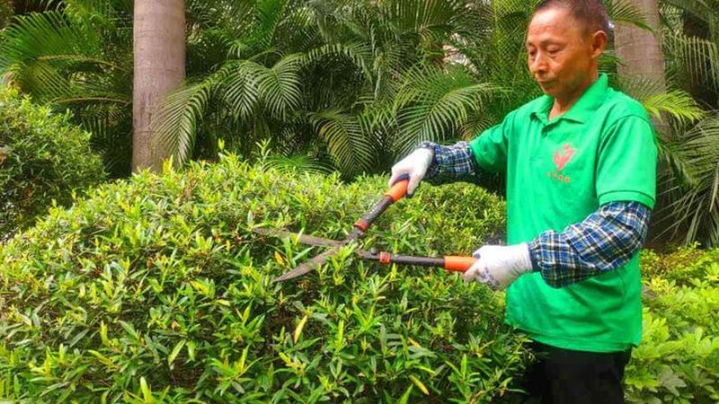 绿化资质加盟：避开这些误区，选择正确路径**