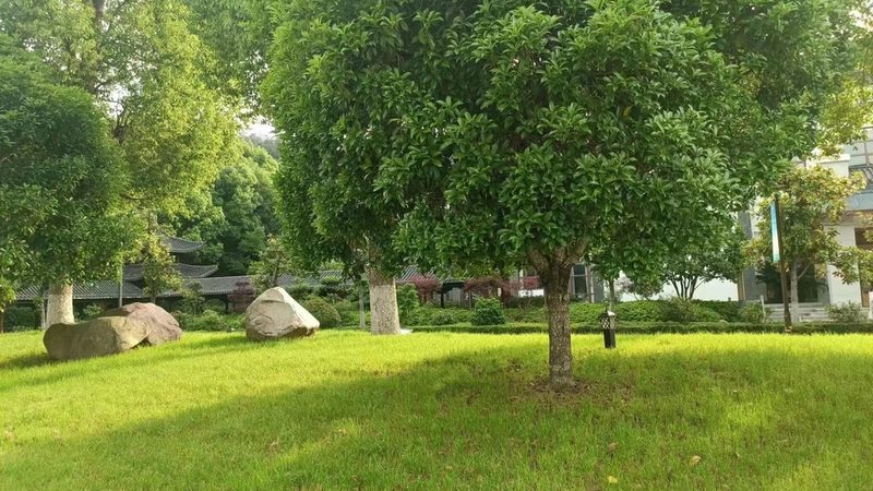 绿化资质办理：流程步骤全解析