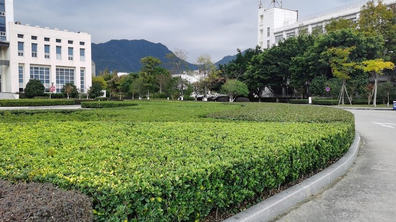 住宅小区绿化养护，如何选择专业公司？**